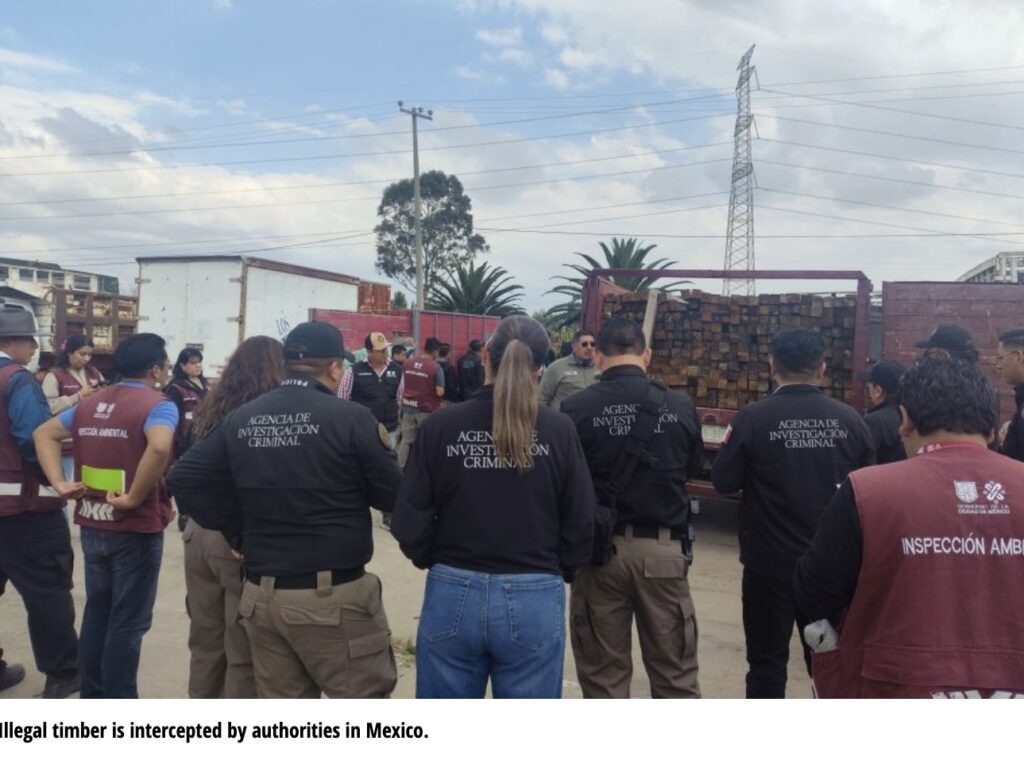 La Operación Thunder 2025 refuerza la respuesta internacional frente al crimen ambiental